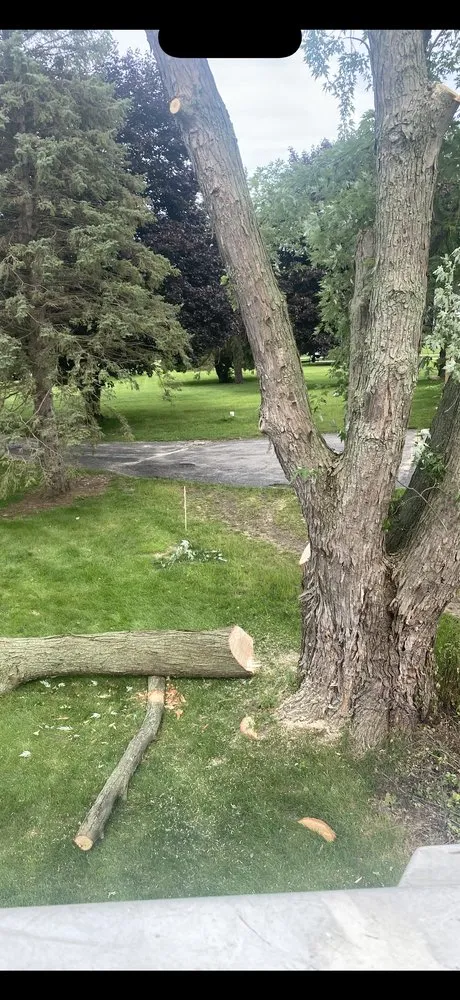 Trusted yard maintenance in Fenton, MI by Green Sweeps Outdoor Services & Junk Removal