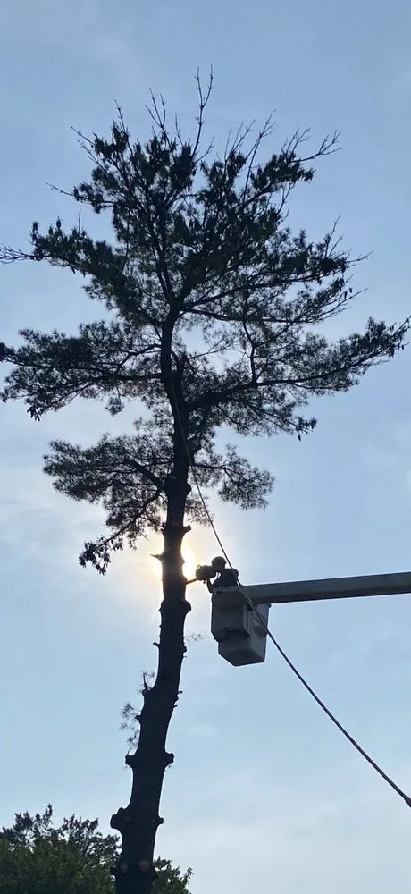 Top-rated landscape design experts serving Fenton, MI - Green Sweeps Outdoor Services & Junk Removal