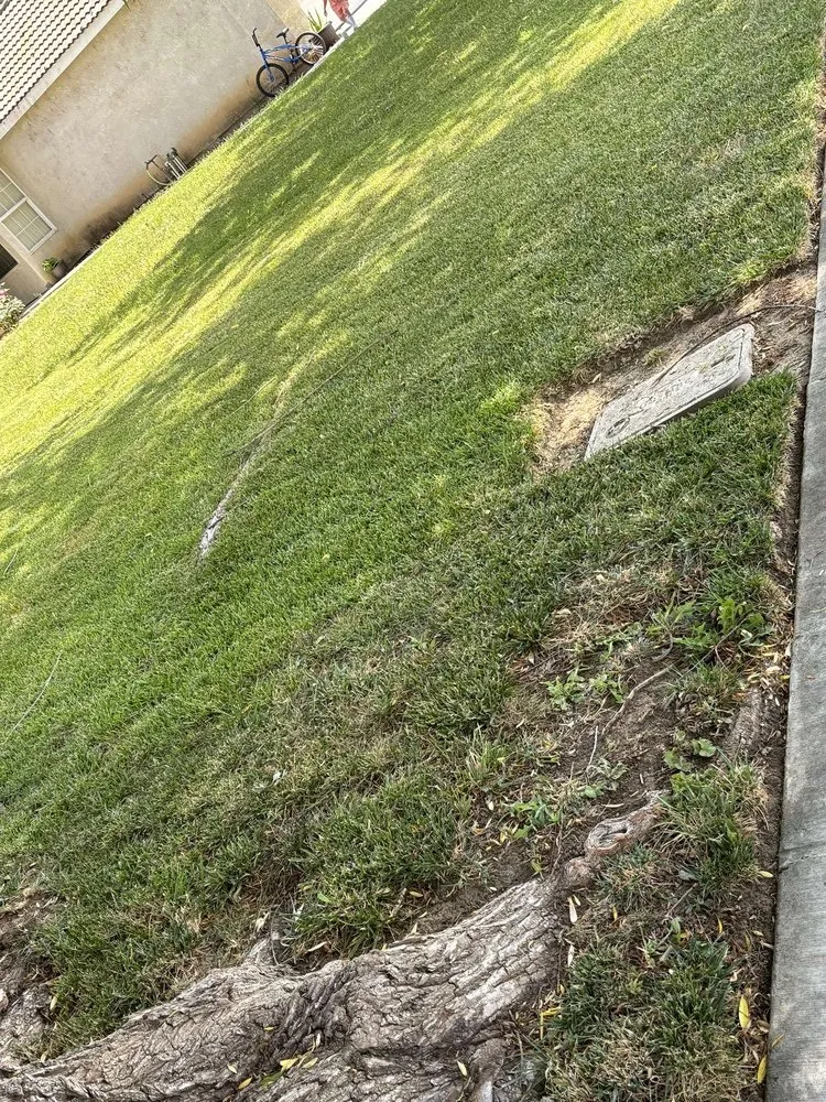 Professional residential landscaping in Newman, CA by Green Symphony Landscaping