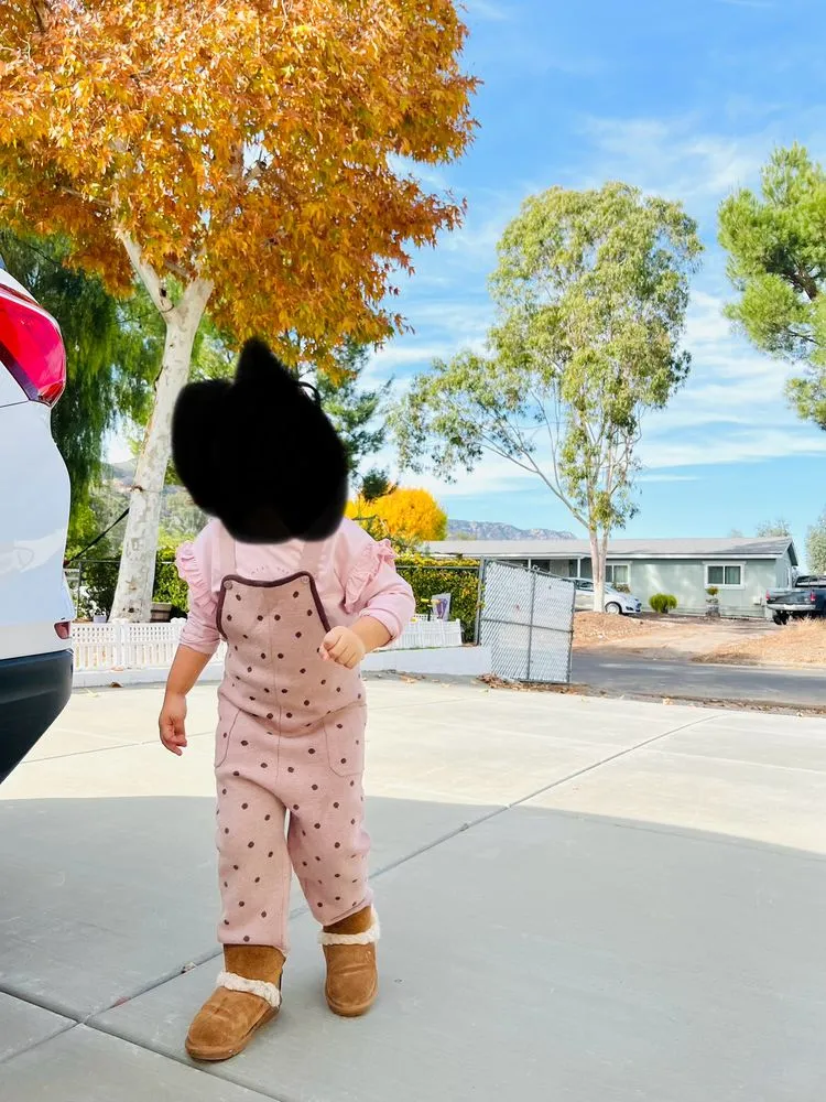 Reliable garden landscaping experts serving Spring Valley, CA - Green Synthetic Pros