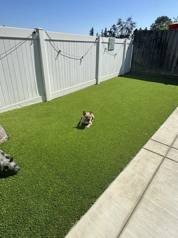 Professional outdoor landscaping in Spring Valley, CA by Green Synthetic Pros