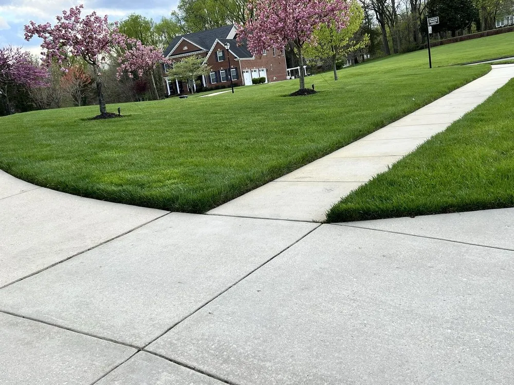 Professional landscaping services near you in Frederick, MD by Green T Lawn Care