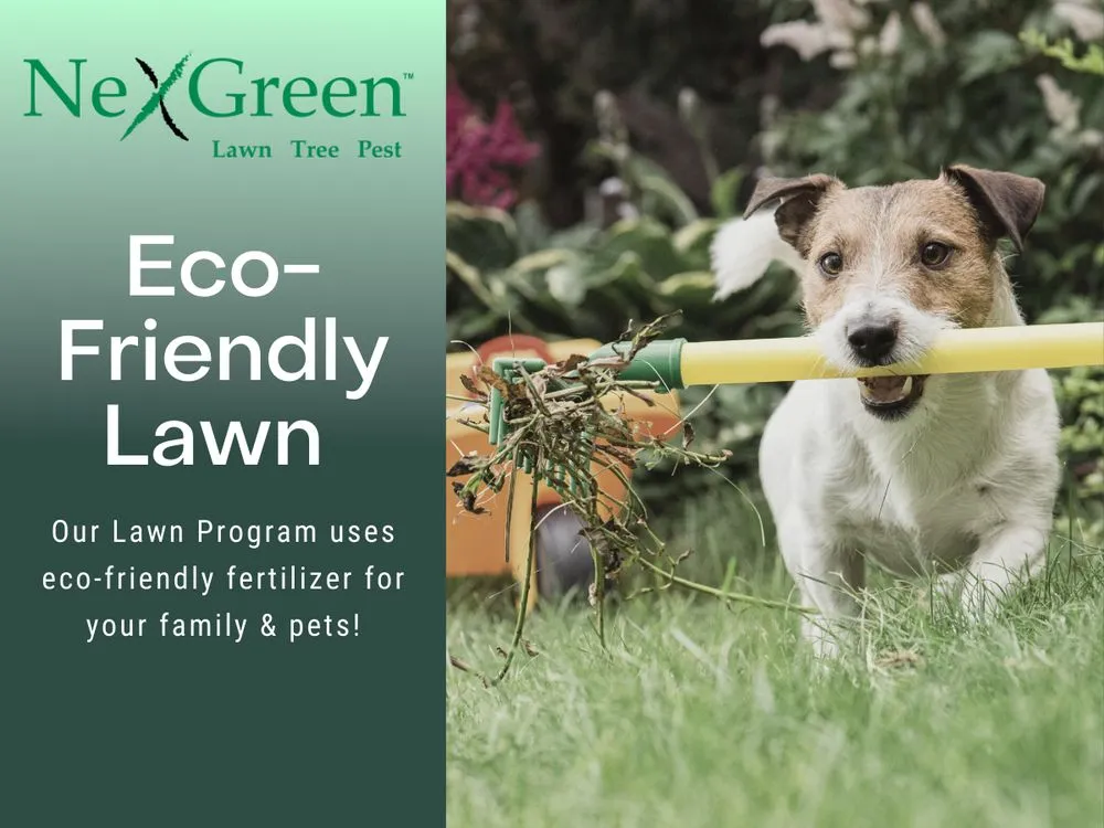 Expert landscaping services for beautiful yards in Frederick, MD by Green T Lawn Care