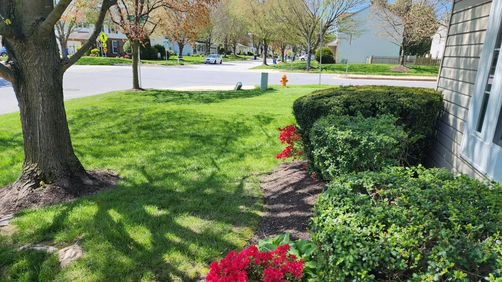 Professional garden landscaping in Frederick, MD by Green T Lawn Care