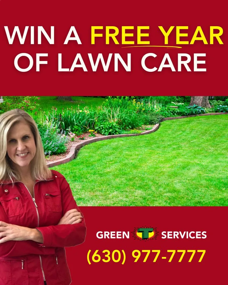 Affordable yard cleanup service in Aurora, IL by Green T Services