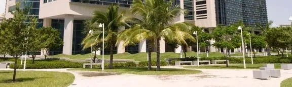 Professional yard cleanup service in Hudson, FL - Green Taskk Landscaping