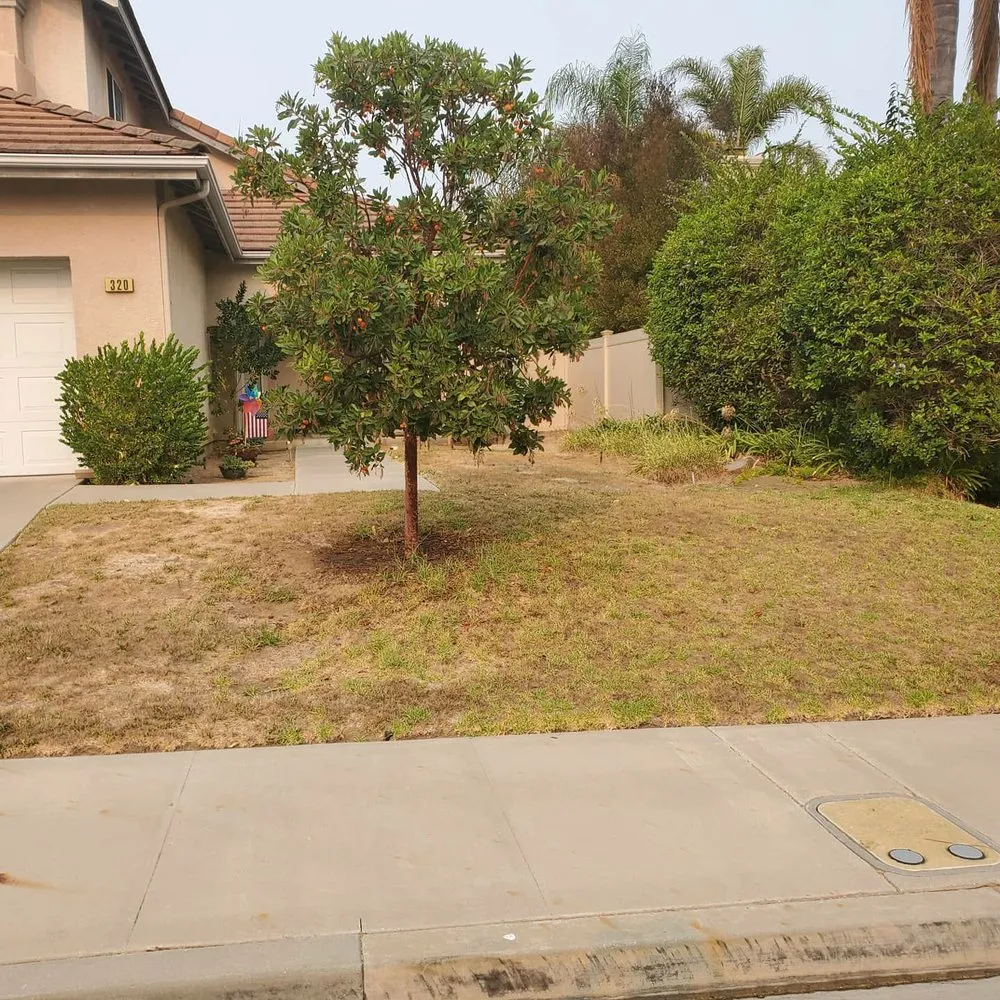 Top-rated landscape installation experts serving Ventura, CA - Green Team Landscapers