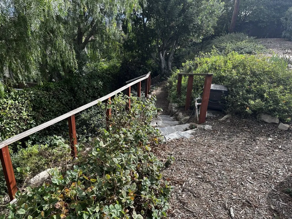 Trusted yard cleanup service for year-round maintenance across Ventura, CA - Green Team Landscapers