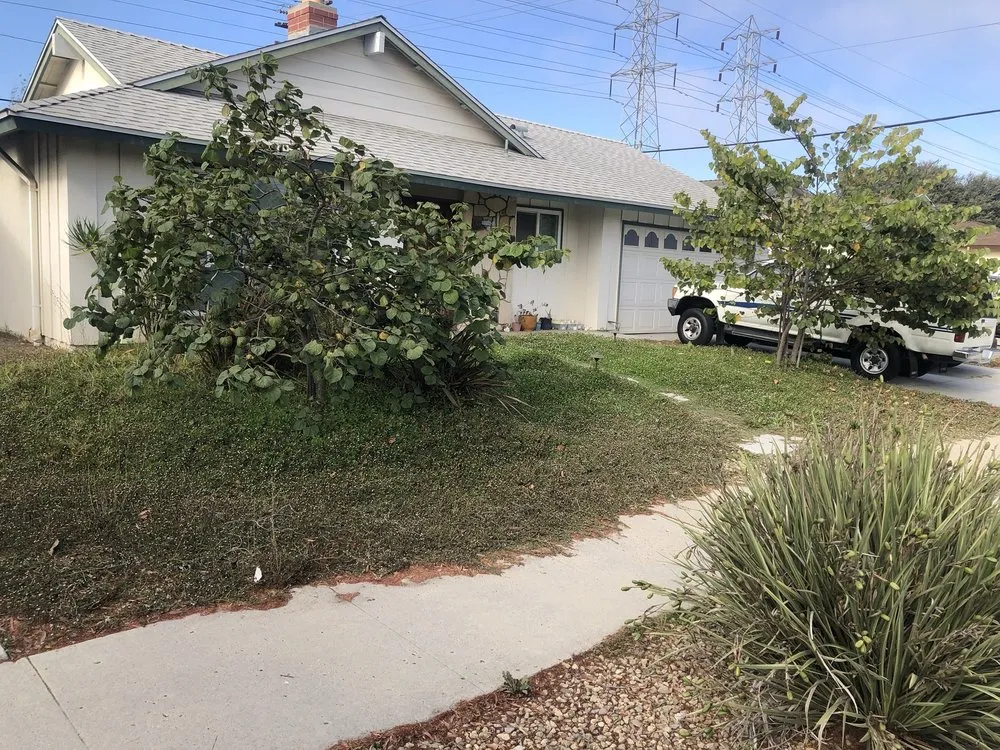 Reliable lawn mowing service in Ventura, CA - Green Team Landscapers