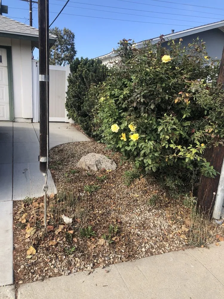 Top-rated garden landscaping experts serving Ventura, CA - Green Team Landscapers