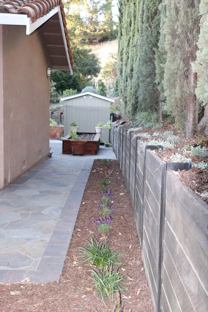 Local outdoor landscaping in Pacheco, CA - Green Team Landscaping & Maintenance