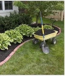 Local yard cleanup service in Barnstable, MA by Green Team Landscaping