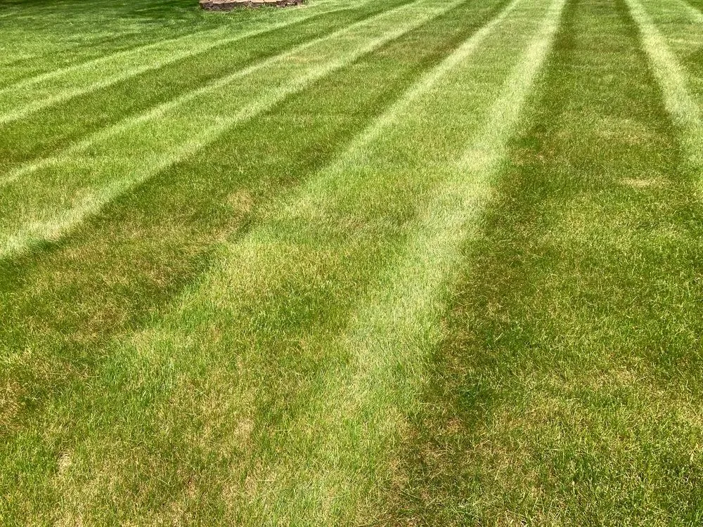 Reliable residential landscaping for beautiful yards in Jackson, MI by Green Team Lawn & Snow