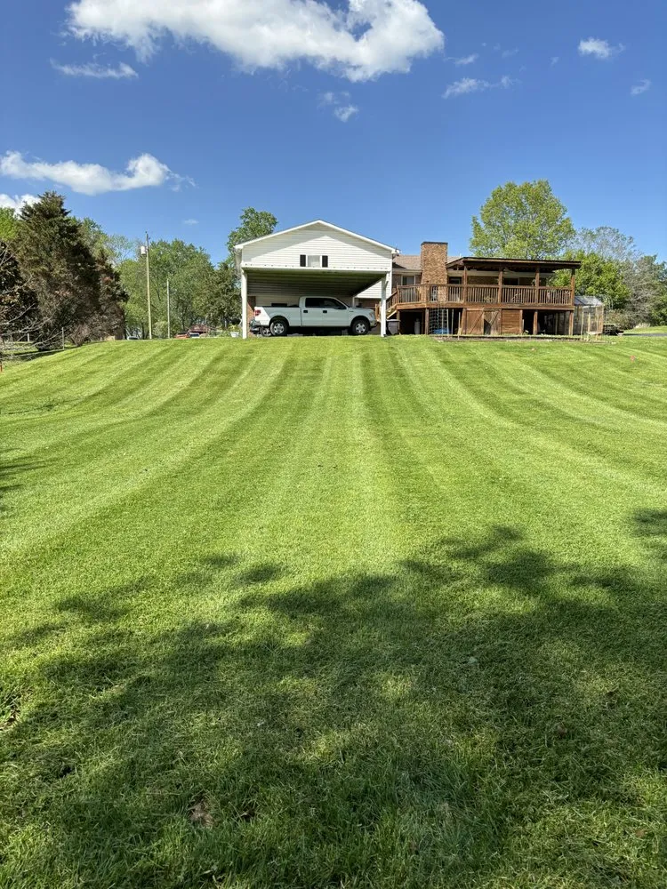 Professional yard cleanup service with custom design in Columbia, TN by Green Team Lawn Care