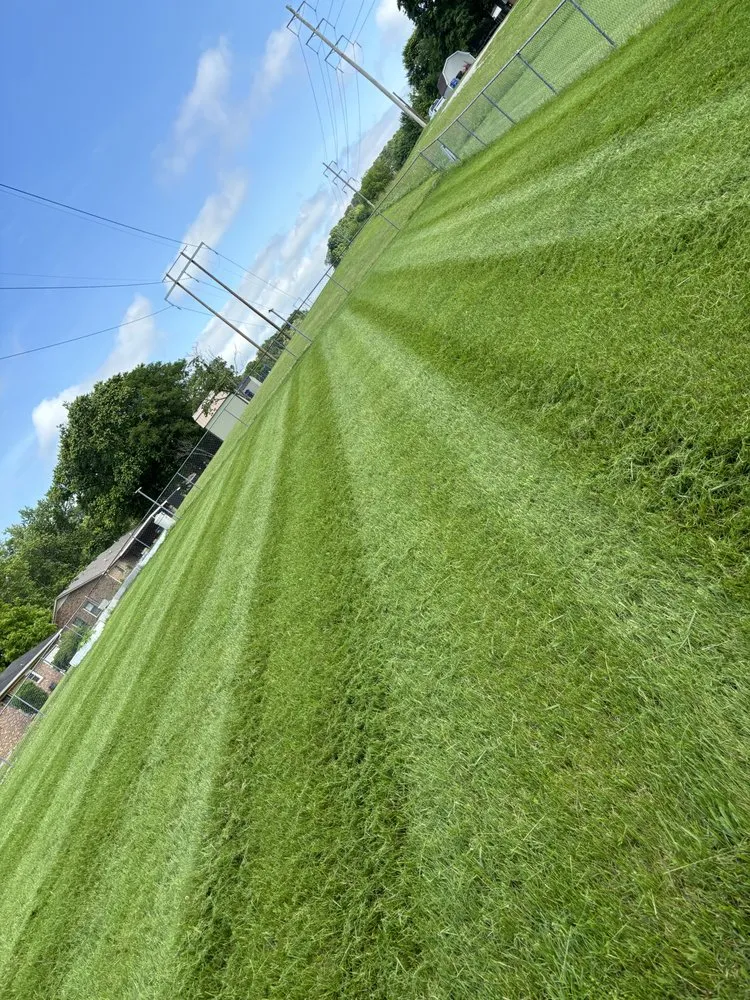 Expert lawn mowing service for beautiful yards across Columbia, TN - Green Team Lawn Care