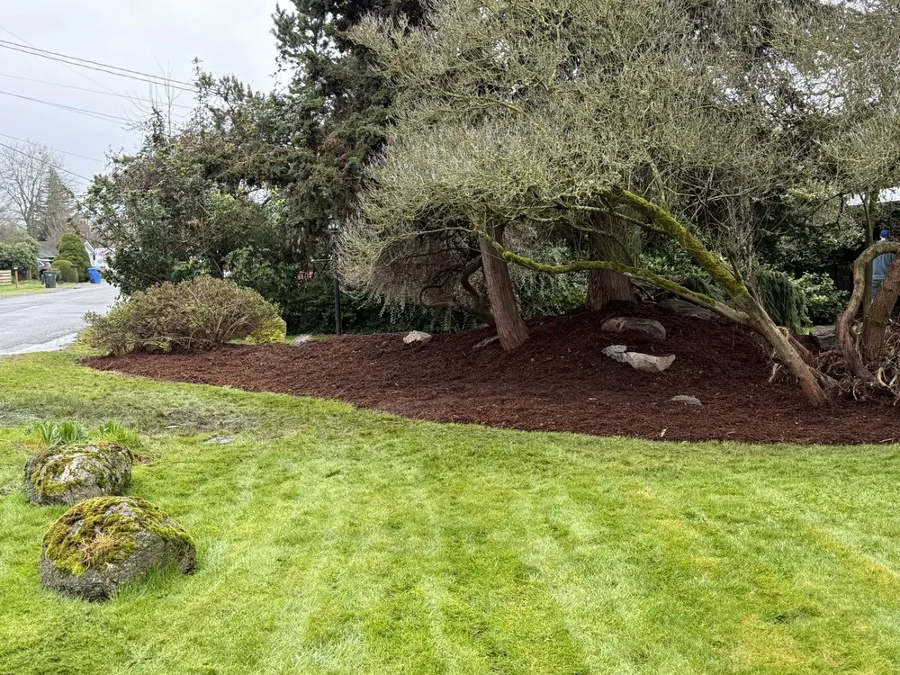 Local landscape design for outdoor upgrades in Spanaway, WA by Green Team Lawn Care
