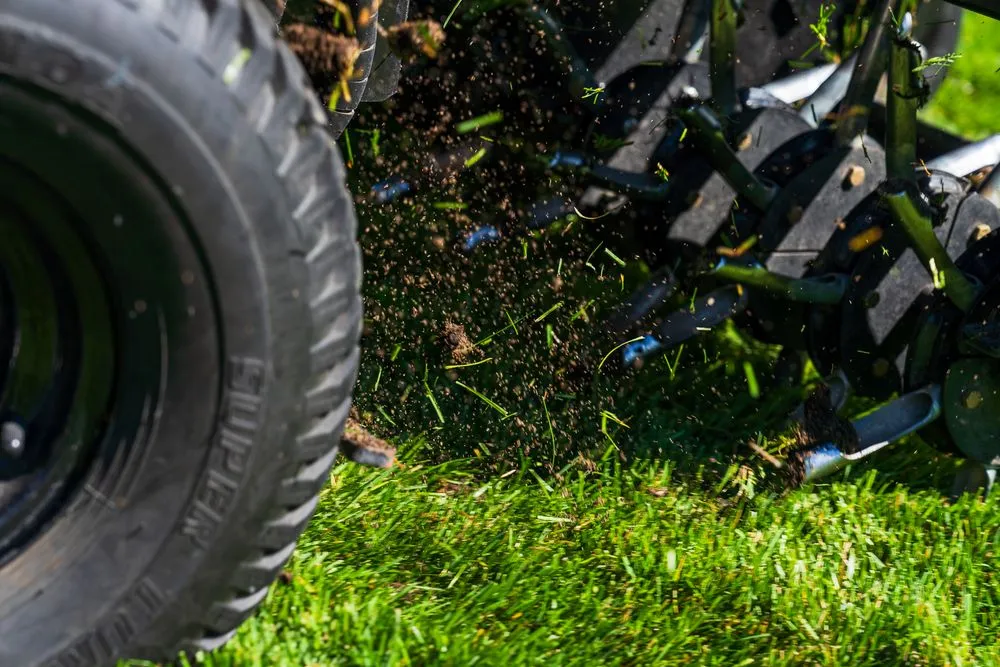 Local yard cleanup service in Traverse City, MI by Green Team Lawn Care