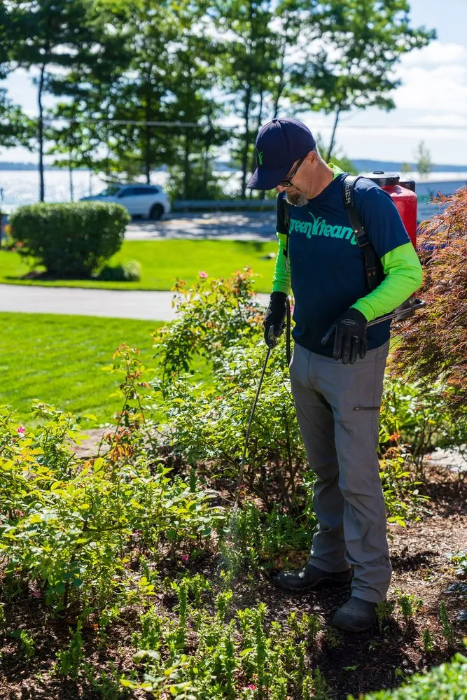 Trusted landscaping services for year-round maintenance in Traverse City, MI by Green Team Lawn Care