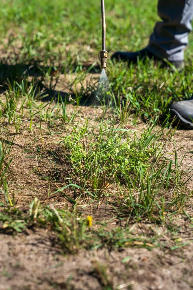 Trusted lawn care service in Traverse City, MI by Green Team Lawn Care