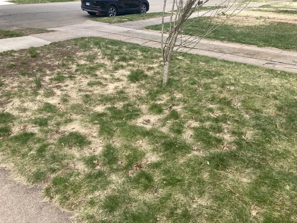 Top-rated landscape installation for homes in Westbrook, CT by Green Team Lawn Care