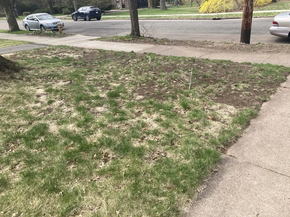 Reliable outdoor landscaping in Westbrook, CT by Green Team Lawn Care