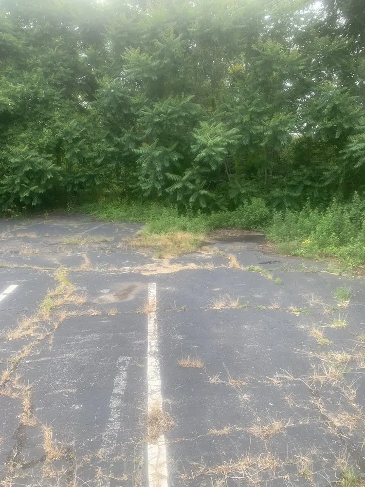 Expert lawn care service in Westbrook, CT - Green Team Lawn Care