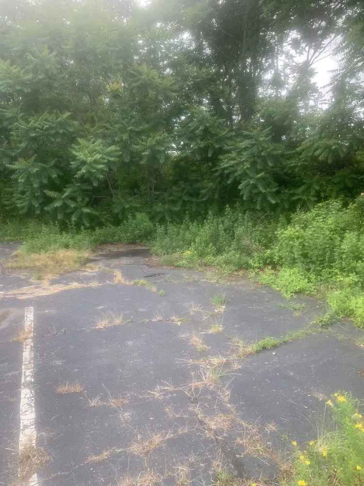 Affordable residential landscaping in Westbrook, CT - Green Team Lawn Care