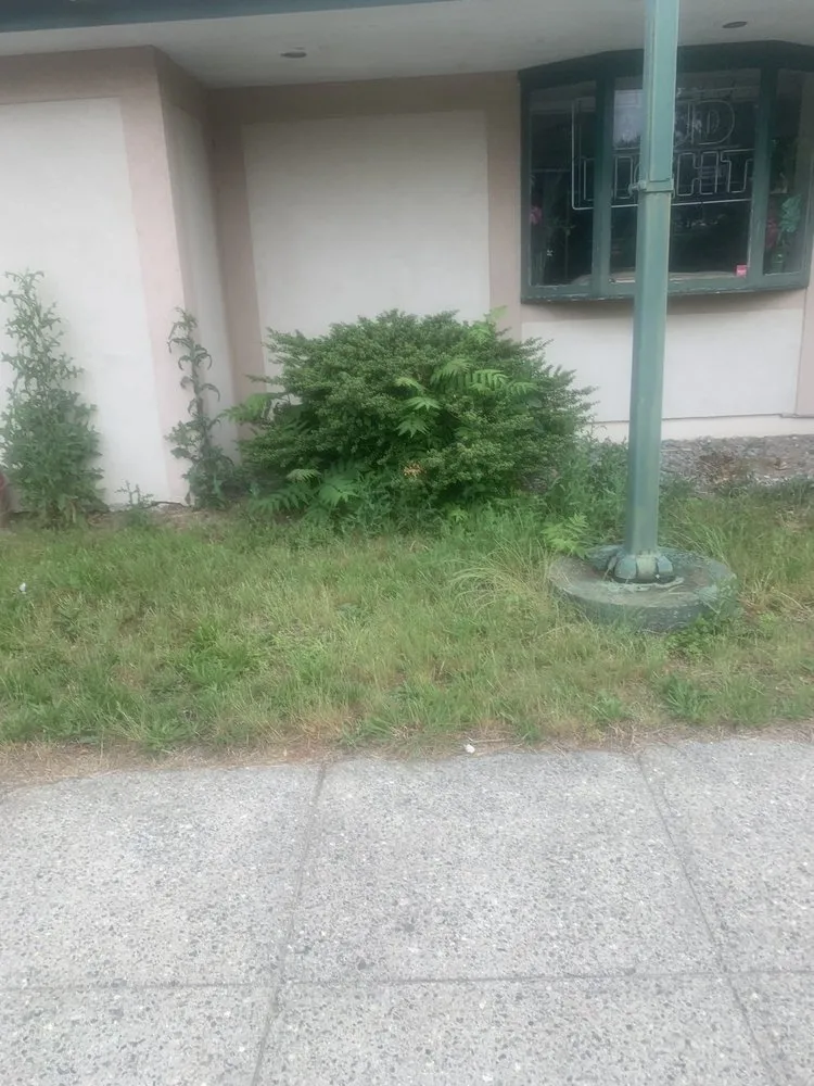 Local lawn mowing service near you across Westbrook, CT - Green Team Lawn Care