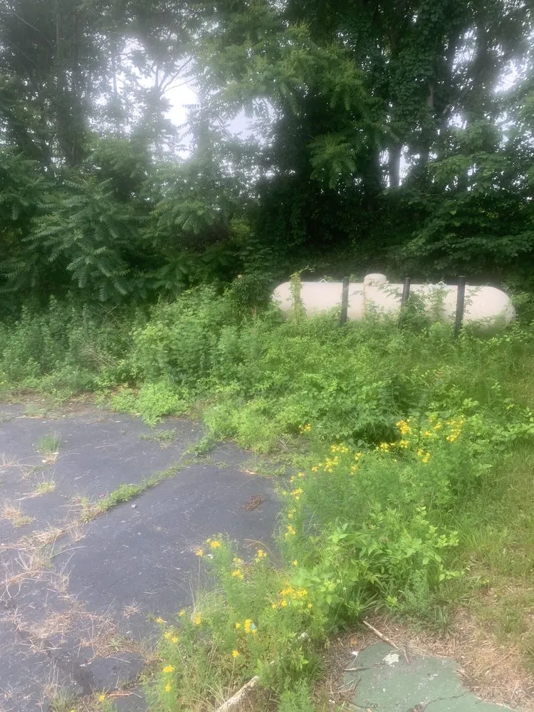 Expert lawn mowing service in Westbrook, CT - Green Team Lawn Care