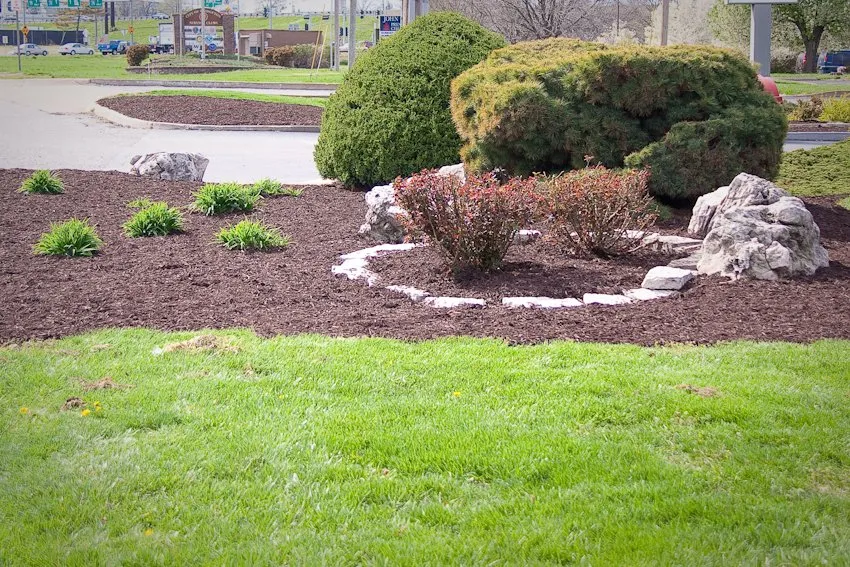 Top-rated lawn mowing service in St. Louis, MO by Green Team Lawn Service