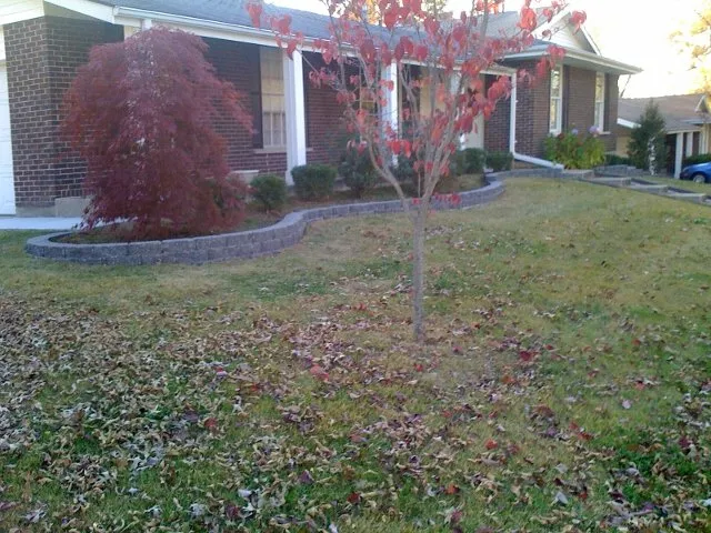 Reliable lawn mowing service in St. Louis, MO - Green Team Lawn Service