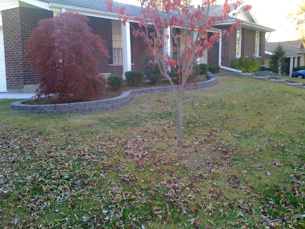 Affordable lawn care service in St. Louis, MO - Green Team Lawn Service