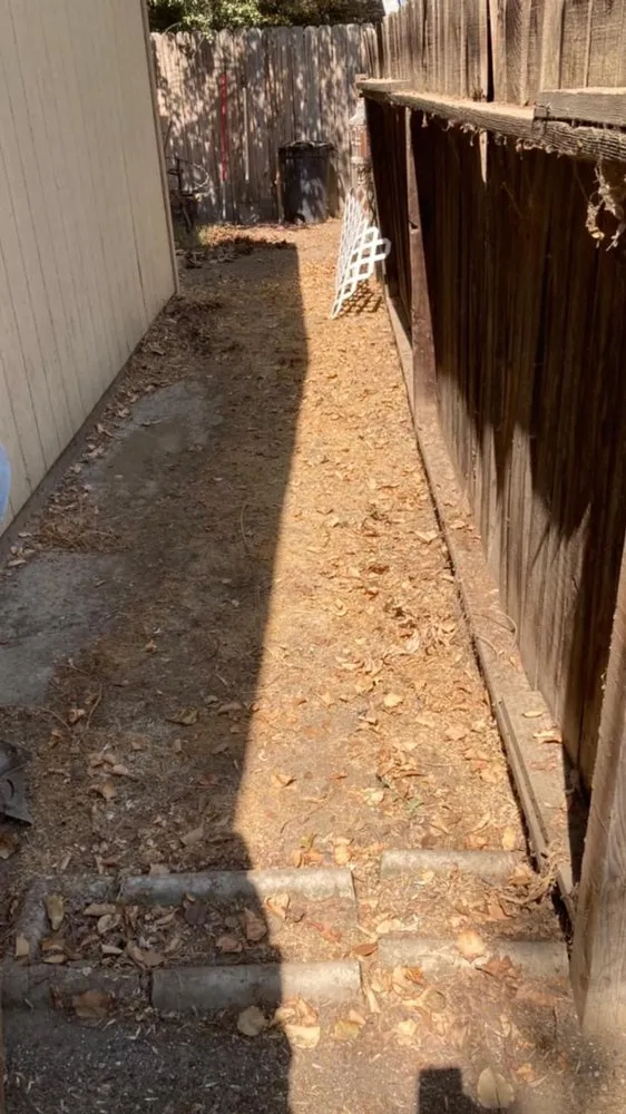 Expert yard cleanup service for outdoor upgrades across Tulare, CA - Green Team Lawn Service