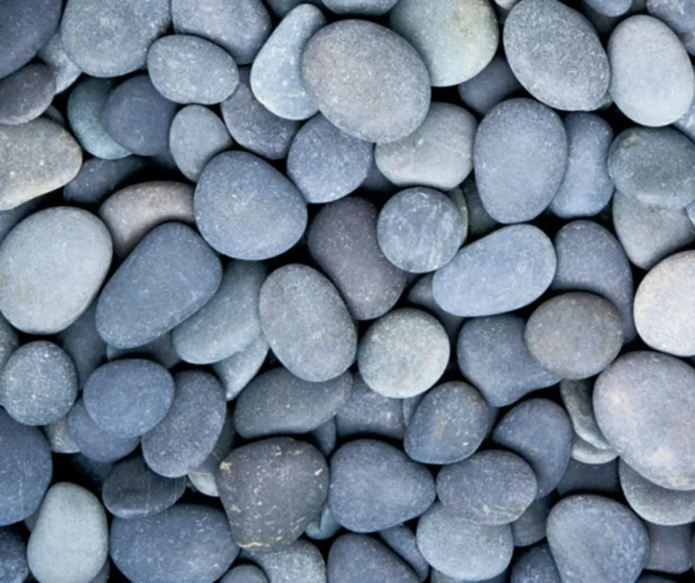 Local yard cleanup service in Tulare, CA by Green Team Lawn Service