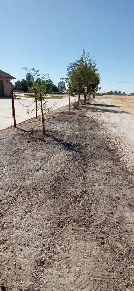 Custom residential landscaping in Tulare, CA by Green Team Lawn Service