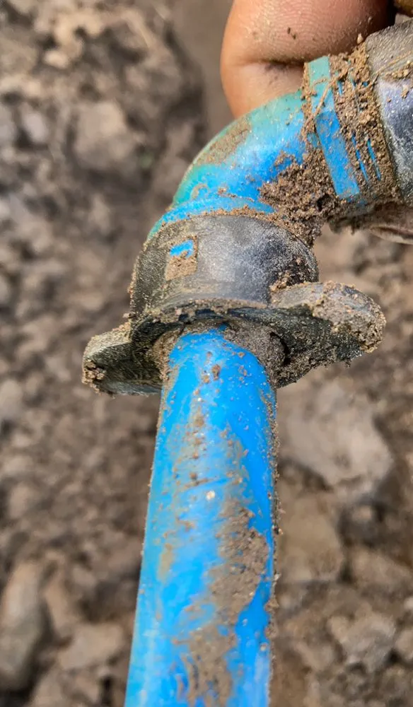 Professional outdoor landscaping for homes in Tulare, CA by Green Team Lawn Service