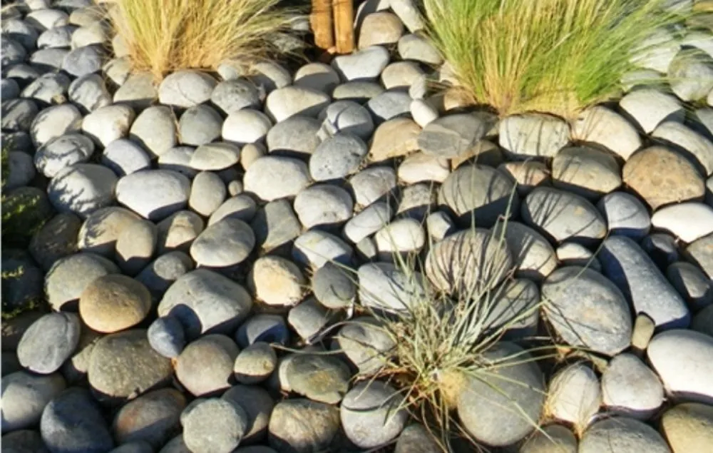 Professional lawn mowing service near you in Tulare, CA by Green Team Lawn Service