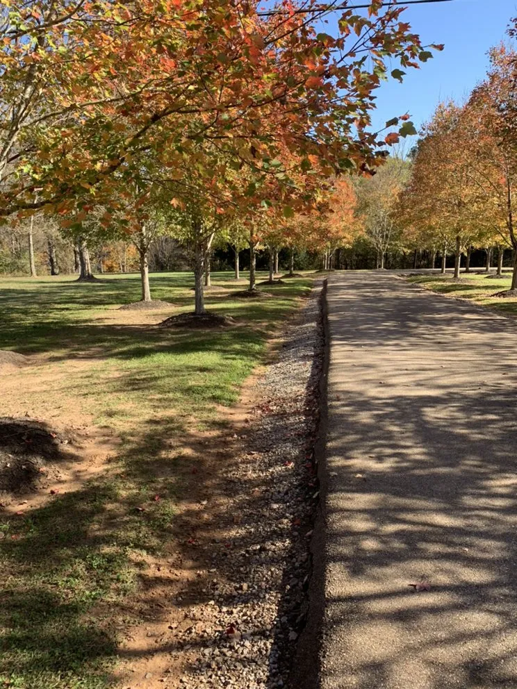Local yard cleanup service experts serving Tupelo, MS - Green Team of Tupelo Lawn Care and more