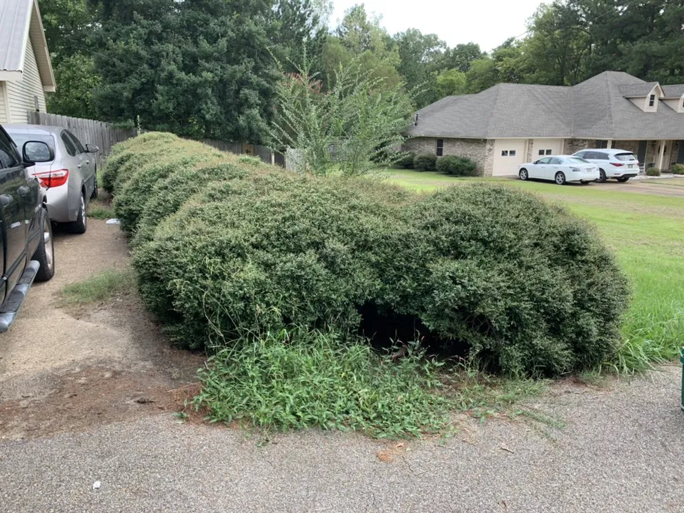 Expert landscaping services in Tupelo, MS by Green Team of Tupelo Lawn Care and more
