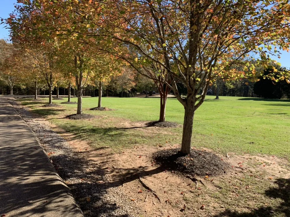 Expert lawn mowing service experts serving Tupelo, MS - Green Team of Tupelo Lawn Care and more