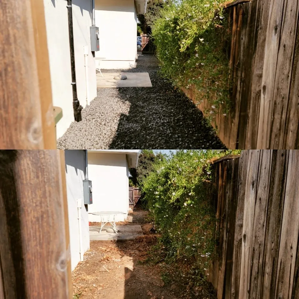 Custom landscape design in Chico, CA by Green Team Property Preservation