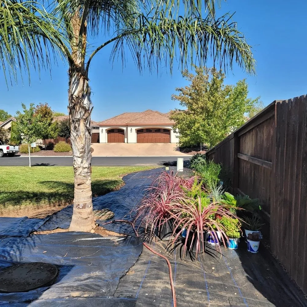 Expert landscaping services near you across Chico, CA - Green Team Property Preservation