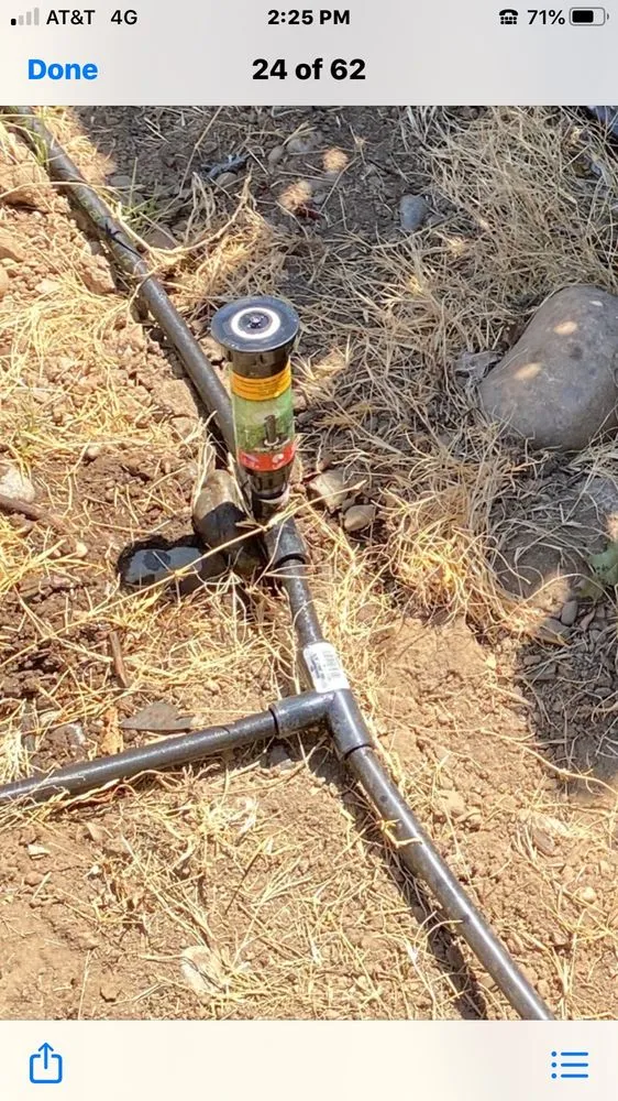 Local lawn care service experts serving Chico, CA - Green Team Property Preservation