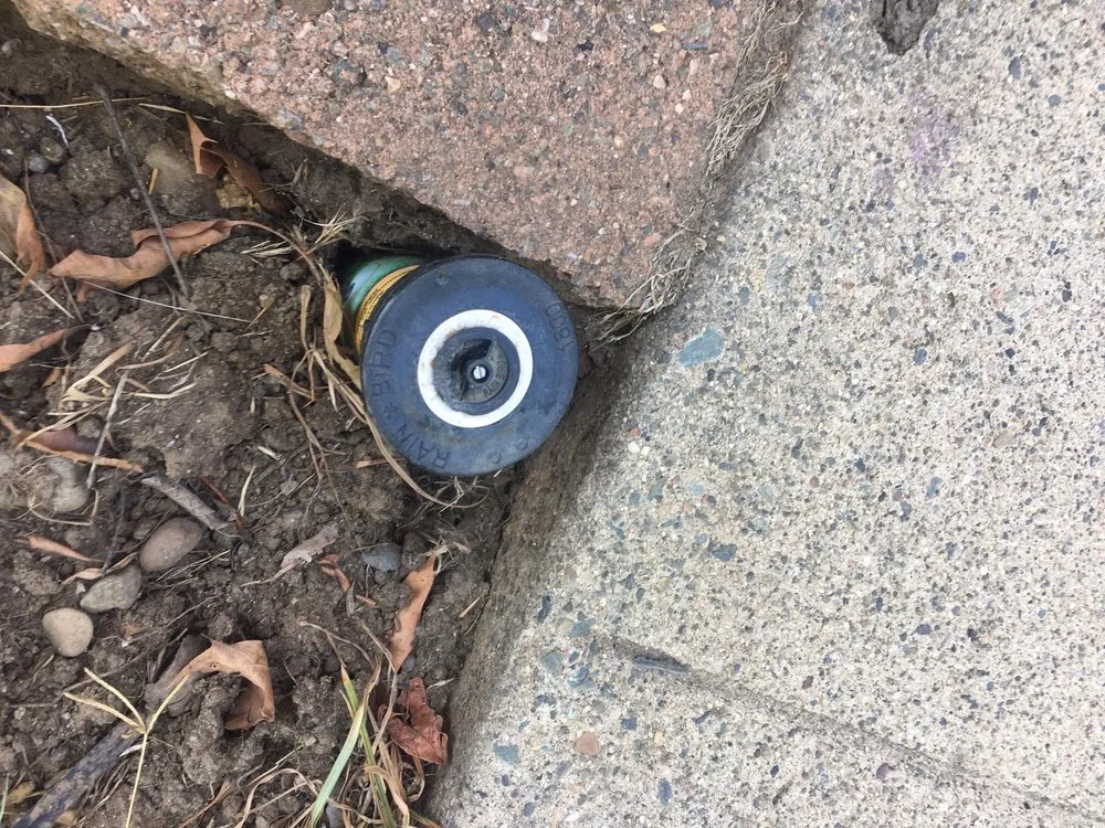 Trusted landscape installation in Chico, CA - Green Team Property Preservation