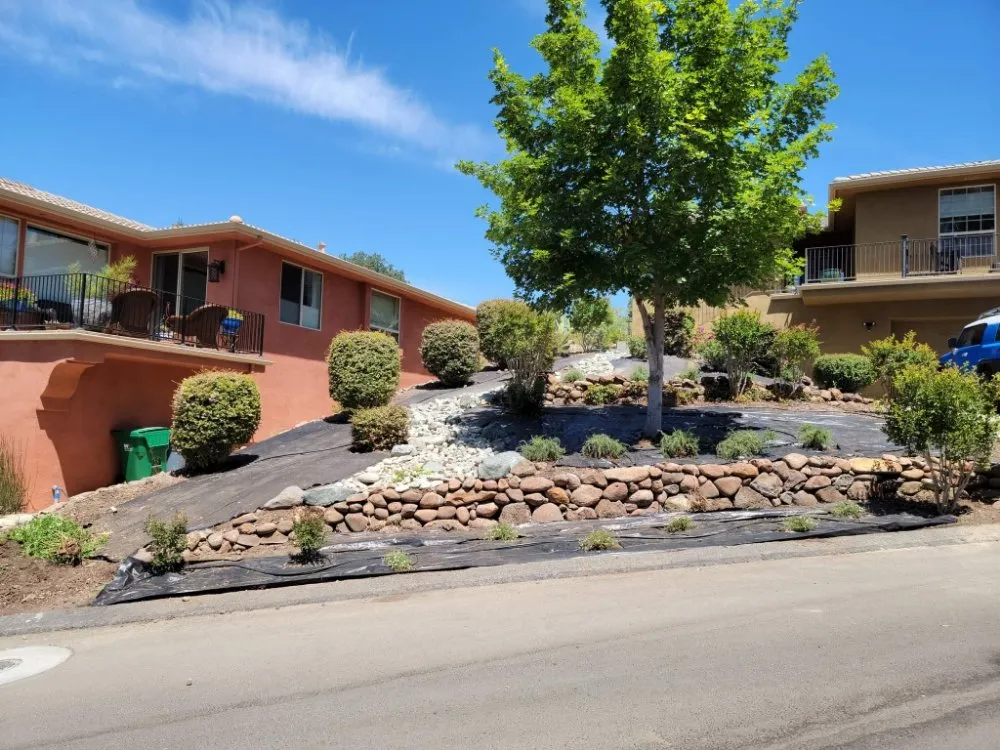 Top-rated outdoor landscaping in Chico, CA by Green Team Property Preservation