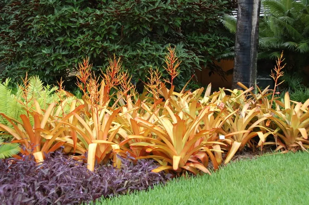 Affordable outdoor landscaping in Wellington, FL by Green Team Solutions