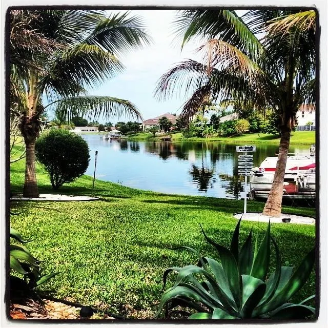 Top-rated yard maintenance in Wellington, FL - Green Team Solutions