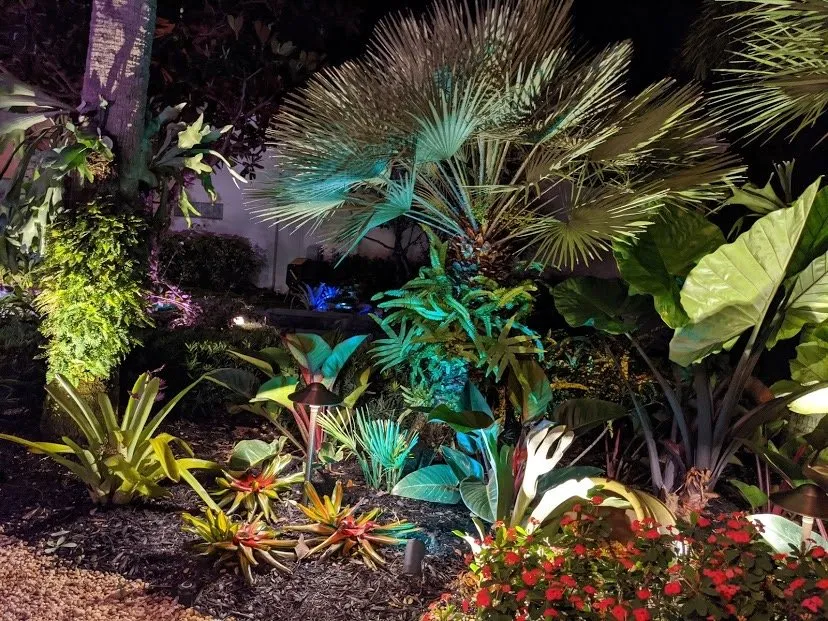 Affordable yard cleanup service for year-round maintenance across Wellington, FL - Green Team Solutions