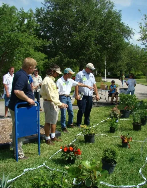 Expert yard cleanup service in Wellington, FL by Green Team Solutions