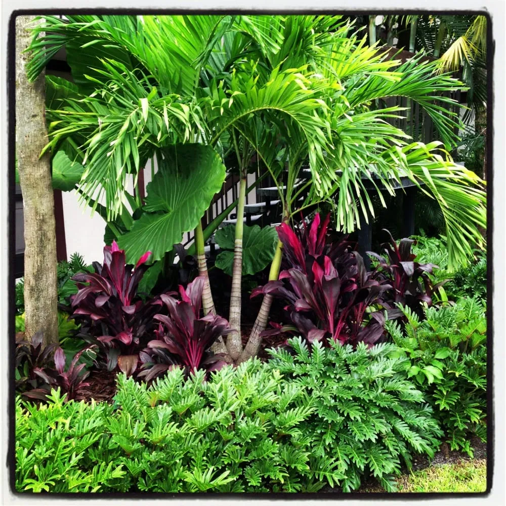 Custom residential landscaping in Wellington, FL - Green Team Solutions